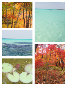 اسکرین شات 4 برنامه Photo Frame (Collage Maker)