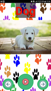 اسکرین شات برنامه فلش کارت انگلیسی حیوانات همراه با تست یادگیری 4
