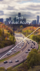 اسکرین شات برنامه Visual Acuity Test 1