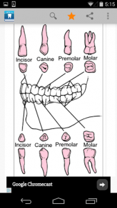 اسکرین شات برنامه Dental Dictionary by Farlex 2
