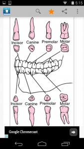 اسکرین شات 2 برنامه Dental Dictionary by Farlex