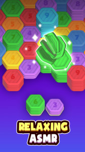 اسکرین شات بازی Hexa Stack: Sorting Puzzle 4