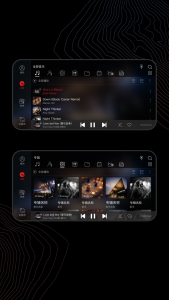 اسکرین شات 4 برنامه FiiO Music