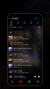 اسکرین شات 2 برنامه FiiO Music