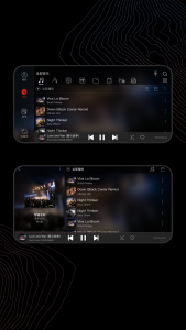 اسکرین شات 5 برنامه FiiO Music