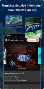 اسکرین شات 4 برنامه FishDetect - Fish Identifier
