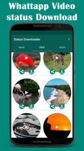 اسکرین شات برنامه Status downloader Video Image 1