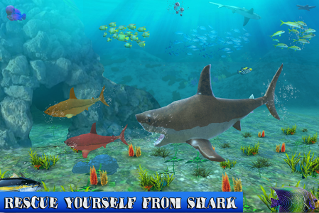 اسکرین شات بازی Big Shark Vs Small Sharks 5