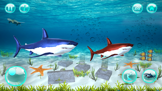 اسکرین شات 4 بازی Big Shark Vs Small Sharks