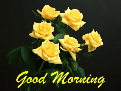 اسکرین شات برنامه Good morning Flowers Roses 4K 6