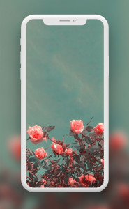 اسکرین شات 2 برنامه Flowers Wallpapers