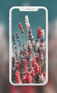 اسکرین شات 5 برنامه Flowers Wallpapers