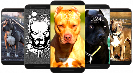 اسکرین شات برنامه Pitbull Dog Wallpaper HD 3