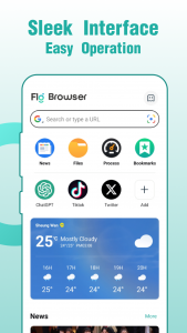 اسکرین شات برنامه Fly Browser-Search & Private 1