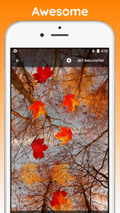 اسکرین شات برنامه Autumn Live Wallpaper 5