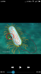 اسکرین شات 4 برنامه Microbiology Dictionary