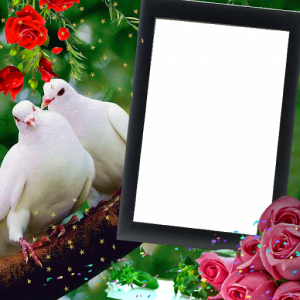 اسکرین شات برنامه Love Birds Insta DP : Bird DP Frames & Wallpapers 3