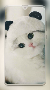 اسکرین شات برنامه Cute Cat Wallpaper 2