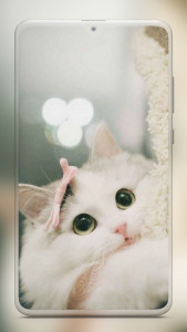 اسکرین شات برنامه Cute Cat Wallpaper 7