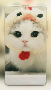 اسکرین شات برنامه Cute Cat Wallpaper 3