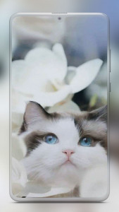اسکرین شات برنامه Cute Cat Wallpaper 5