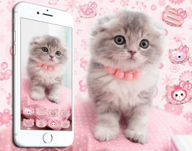 اسکرین شات برنامه Cute Cat Live Launcher Theme 3D Wallpapers 5