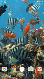 اسکرین شات برنامه Aquarium Live Wallpaper 8