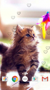 اسکرین شات برنامه Cute Kittens Live Wallpaper 4