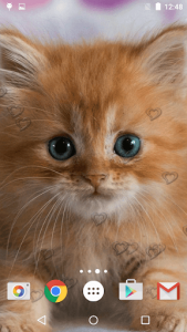 اسکرین شات برنامه Cute Kittens Live Wallpaper 1