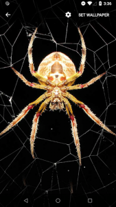اسکرین شات برنامه Spider Live Wallpaper 1