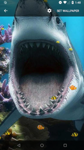 اسکرین شات برنامه 3D Shark Live Wallpaper 7