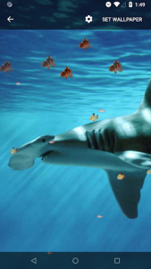 اسکرین شات برنامه 3D Shark Live Wallpaper 4