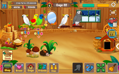 اسکرین شات بازی Bird Land: Pet Shop Bird Games 3