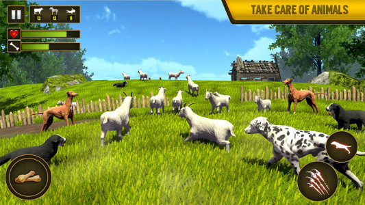 اسکرین شات برنامه Wild Dog Pet Simulator Games 4
