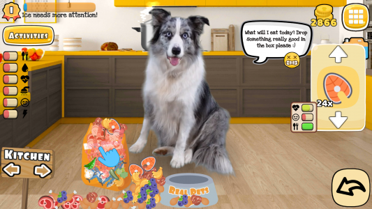 اسکرین شات بازی Fruwee: Real Pet Dog Simulator 1