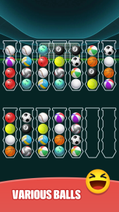 اسکرین شات 5 بازی Sort Ball Master-Color Puz