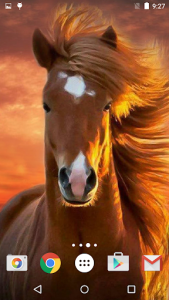 اسکرین شات برنامه Horses Live Wallpaper 3