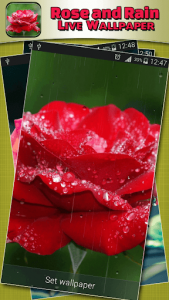 اسکرین شات برنامه Rose and Rain Live Wallpaper 5