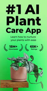 اسکرین شات برنامه PlantSnap: plant identifier 1