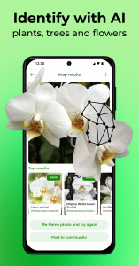 اسکرین شات برنامه PlantSnap: plant identifier 3