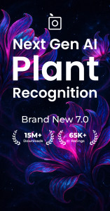 اسکرین شات 1 برنامه PlantSnap: plant identifier