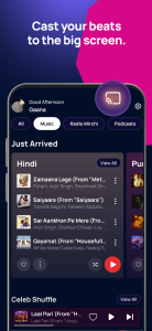 اسکرین شات 5 برنامه Gaana: MP3 Songs, Music App