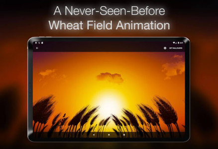 اسکرین شات برنامه Wheat Field Live Wallpaper 7