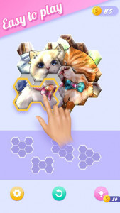 اسکرین شات بازی Block Jigsaw - Free Hexa Puzzle Game 6