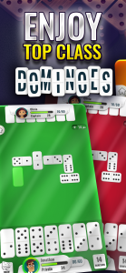 اسکرین شات بازی Dominoes - Offline Domino Game 1