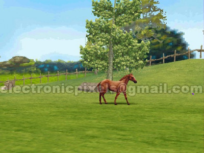 اسکرین شات بازی مزرعه اسب 2