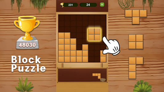 اسکرین شات بازی Block Puzzle - Wood Style Game 3