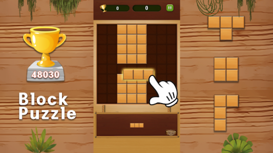 اسکرین شات بازی Block Puzzle - Wood Style Game 4