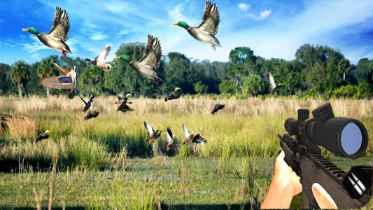اسکرین شات بازی Duck Hunting Challenge 2