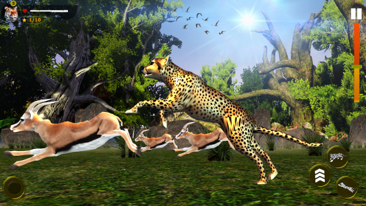 اسکرین شات بازی Wild Simulator 3D 4